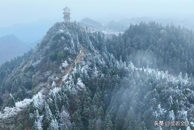 _南国藏雪境！酉阳清华林场的冰雪奇缘，藏着重庆冬游的新答案_南国藏雪境！酉阳清华林场的冰雪奇缘，藏着重庆冬游的新答案