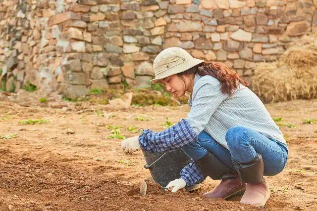 李沧东经典电影__李沧东电影合集