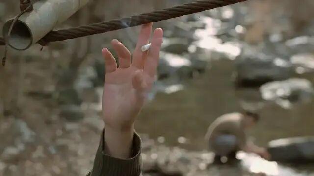 李沧东经典电影__李沧东电影合集