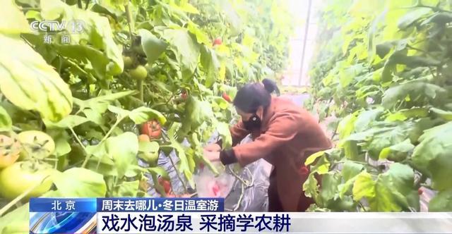 一键解锁“游玩+研学+汤泉” 北京冬日来这儿“暖游”__一键解锁“游玩+研学+汤泉” 北京冬日来这儿“暖游”