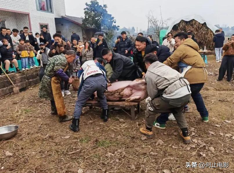 _清醒到可怕！呆呆被人民日报点名后火速暂退网，拒绝榜一大哥打赏_清醒到可怕！呆呆被人民日报点名后火速暂退网，拒绝榜一大哥打赏