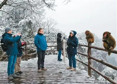 _张家界海外来客_张家界入境防疫