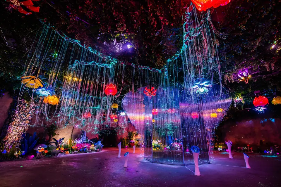 再获省级荣誉！潭溪山以“服务+营销”双轮驱动赋能 打造文旅高质量发展新标杆_再获省级荣誉！潭溪山以“服务+营销”双轮驱动赋能 打造文旅高质量发展新标杆_