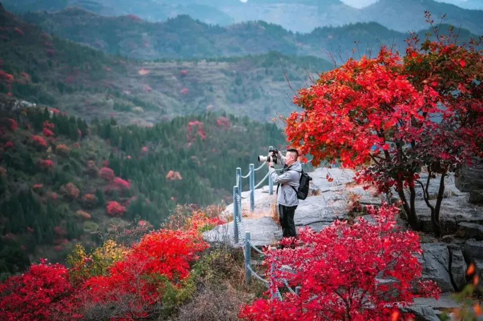 再获省级荣誉！潭溪山以“服务+营销”双轮驱动赋能 打造文旅高质量发展新标杆_再获省级荣誉！潭溪山以“服务+营销”双轮驱动赋能 打造文旅高质量发展新标杆_
