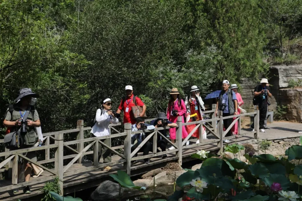 _再获省级荣誉！潭溪山以“服务+营销”双轮驱动赋能 打造文旅高质量发展新标杆_再获省级荣誉！潭溪山以“服务+营销”双轮驱动赋能 打造文旅高质量发展新标杆