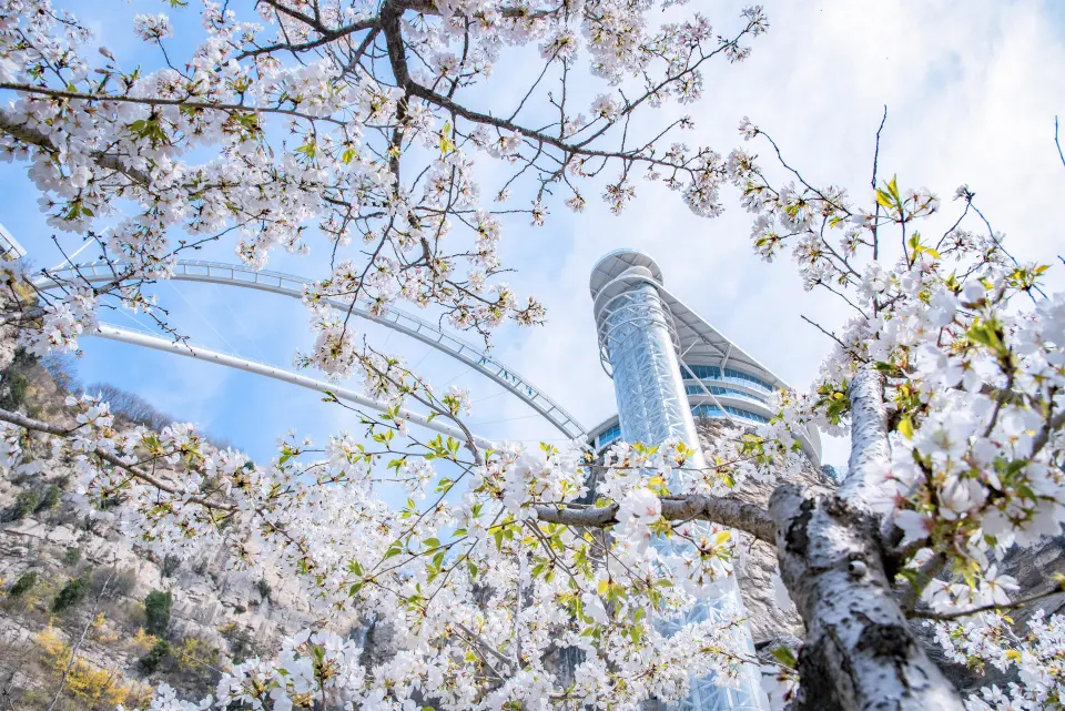 再获省级荣誉！潭溪山以“服务+营销”双轮驱动赋能 打造文旅高质量发展新标杆__再获省级荣誉！潭溪山以“服务+营销”双轮驱动赋能 打造文旅高质量发展新标杆