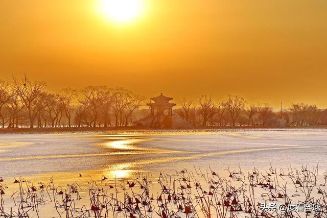 雪落颐和，一湖晨光藏尽中式美学的终极浪漫！_雪落颐和，一湖晨光藏尽中式美学的终极浪漫！_
