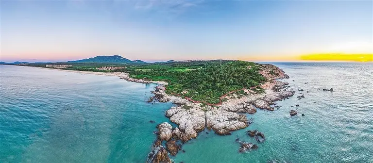 歌曲木棉花的春天花开花落_木棉花开的春天歌词_