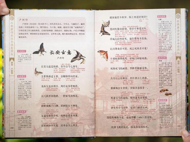 盗墓笔记12集爱拍__大唐京典