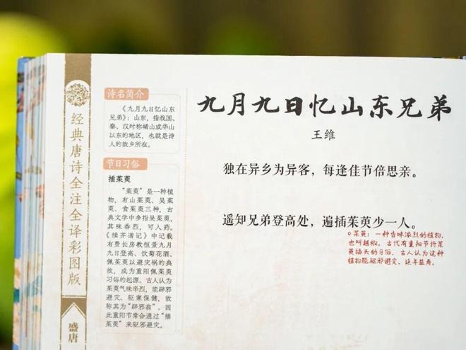 盗墓笔记12集爱拍_大唐京典_