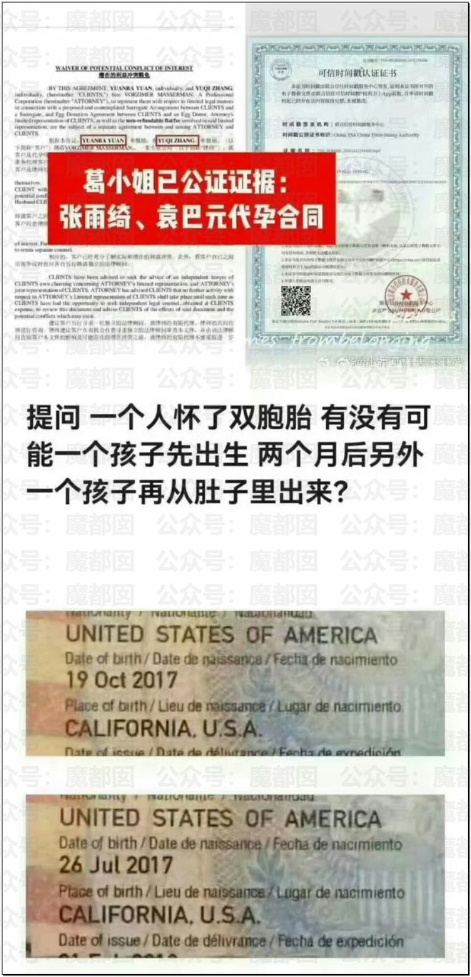 张雨绮拿刀_张雨绮对砍_