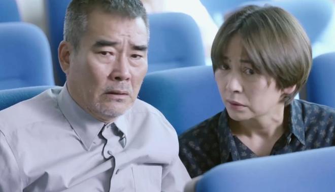 今晚都市频道的电视剧_播放今天都市_