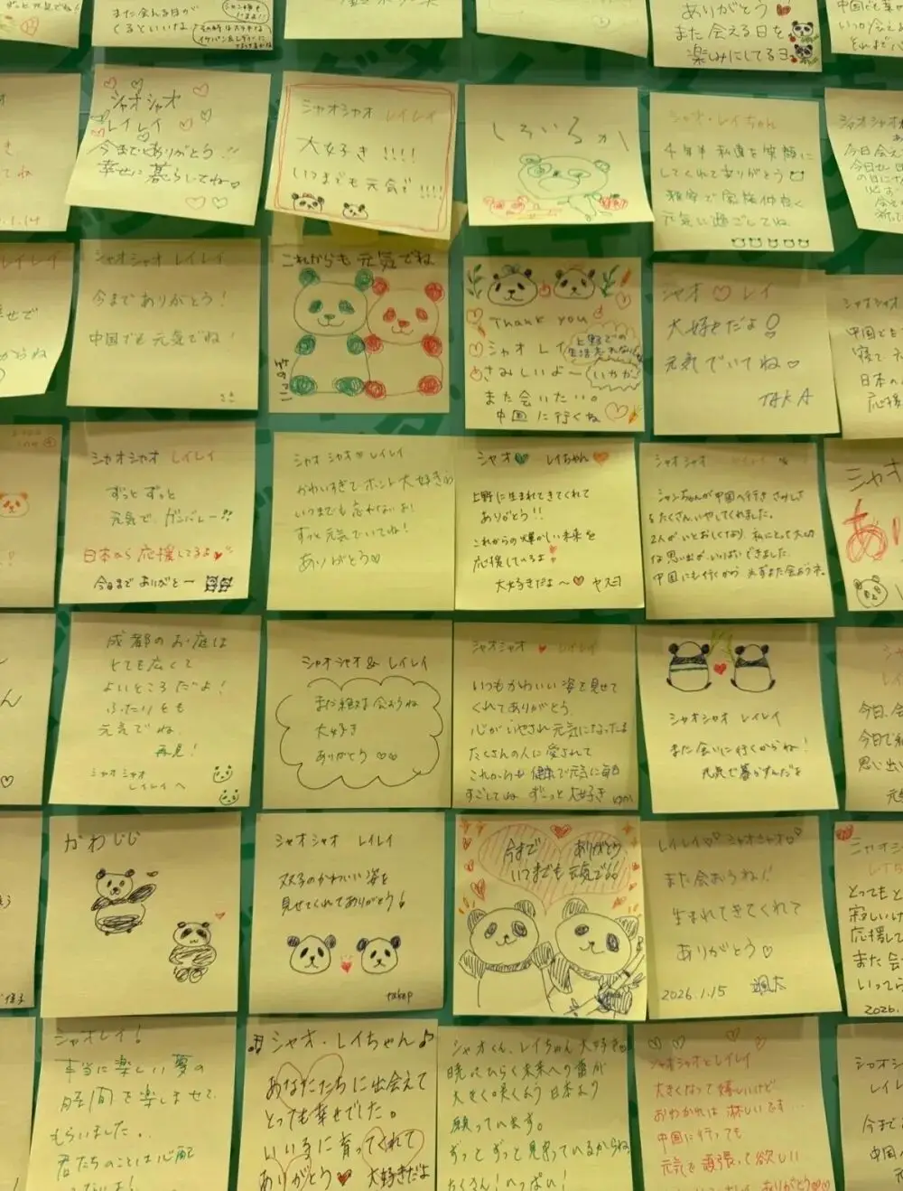 _参观熊猫基地要多长时间_参观熊猫馆的有10人分析