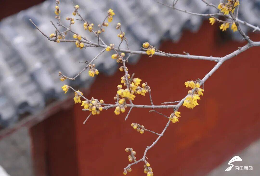 泰山印是什么__泰山mountain