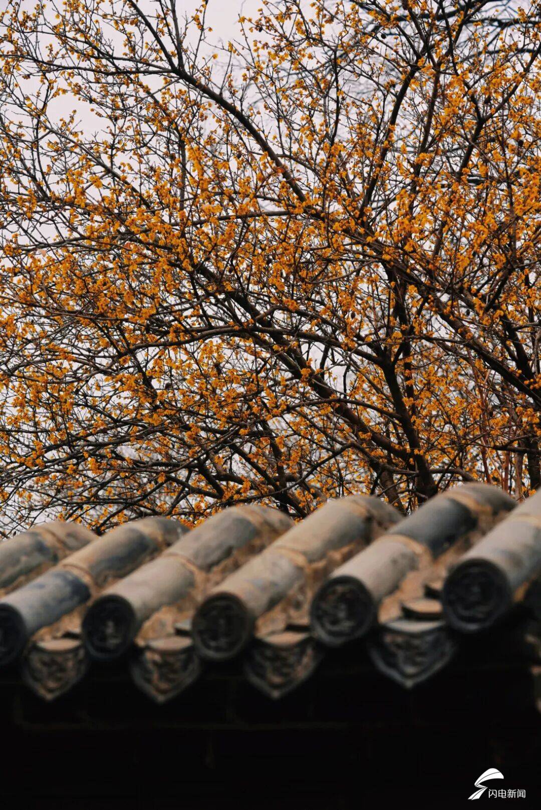 泰山mountain__泰山印是什么