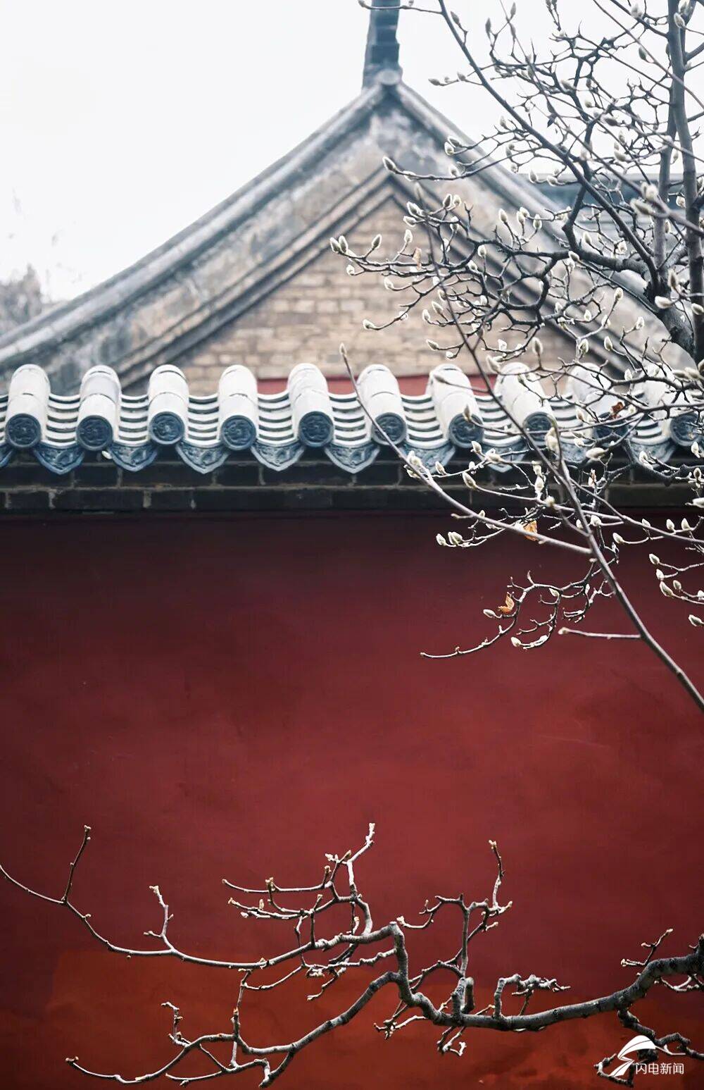 泰山印是什么__泰山mountain