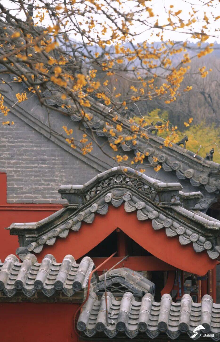 泰山mountain_泰山印是什么_