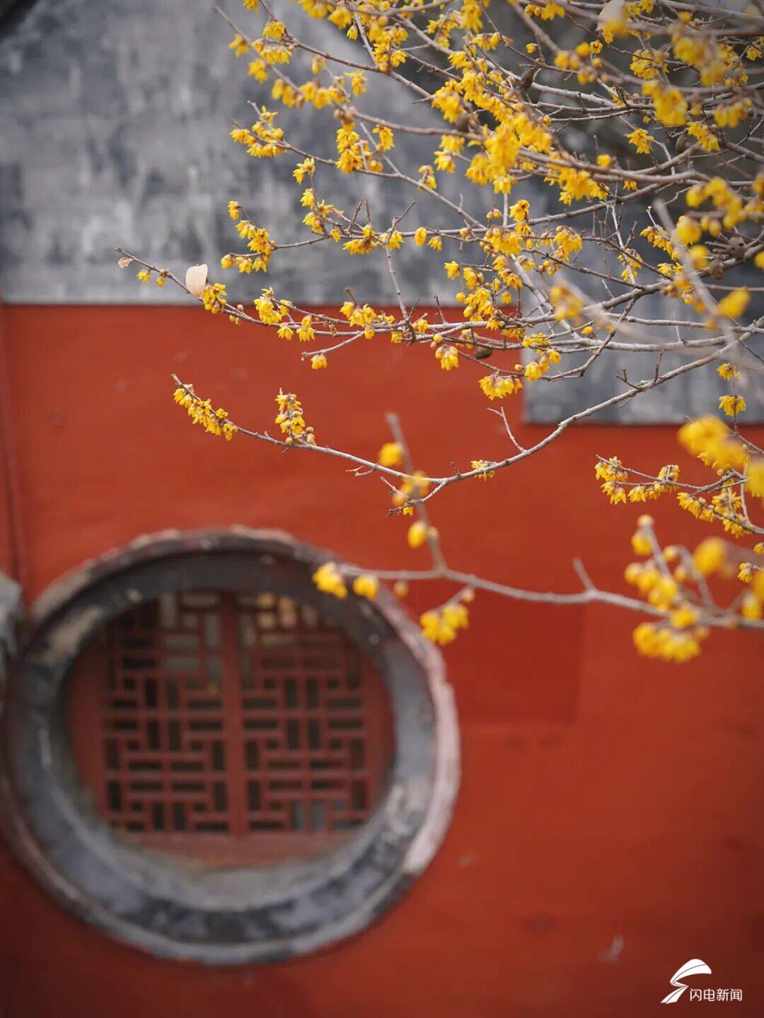 泰山印是什么_泰山mountain_