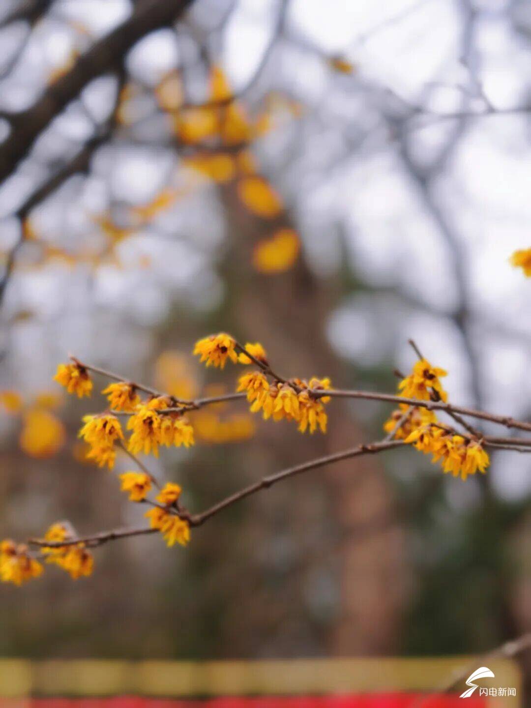 泰山mountain_泰山印是什么_