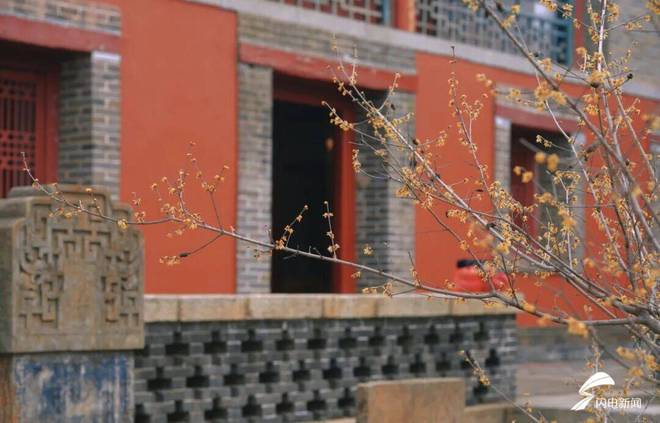 泰山mountain_泰山印是什么_