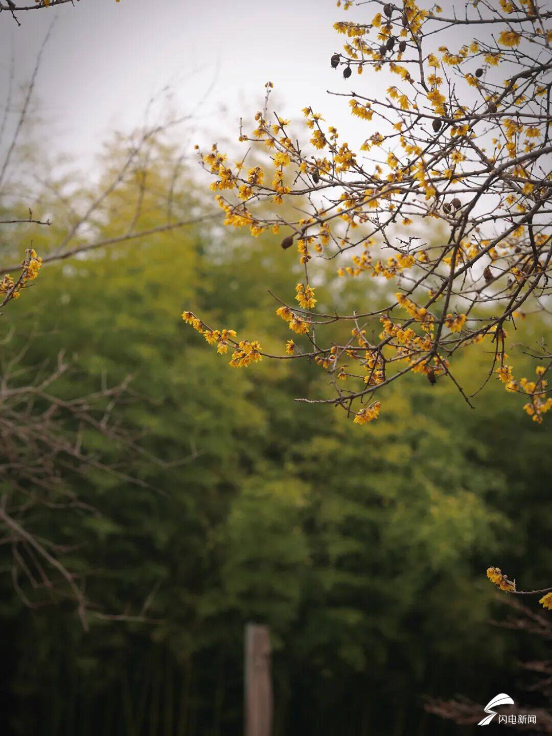 _泰山mountain_泰山印是什么