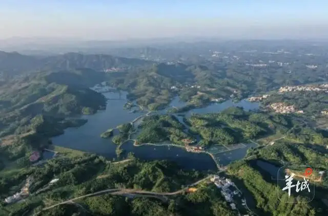 _茂名海鱼图片_茂名有鱼排海钓吗