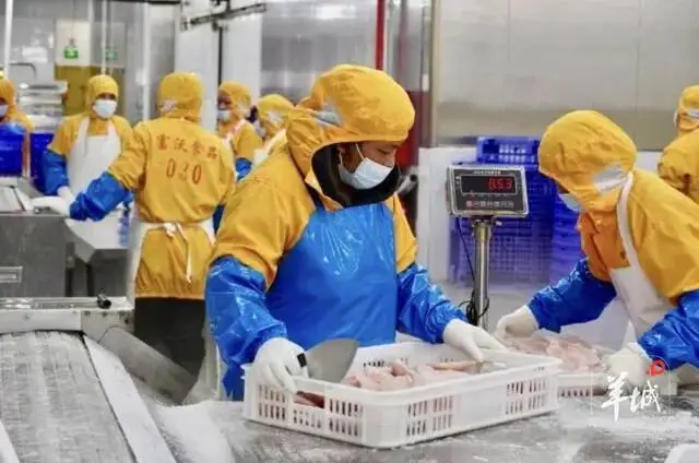 _茂名有鱼排海钓吗_茂名海鱼图片