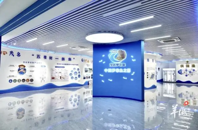 茂名有鱼排海钓吗_茂名海鱼图片_