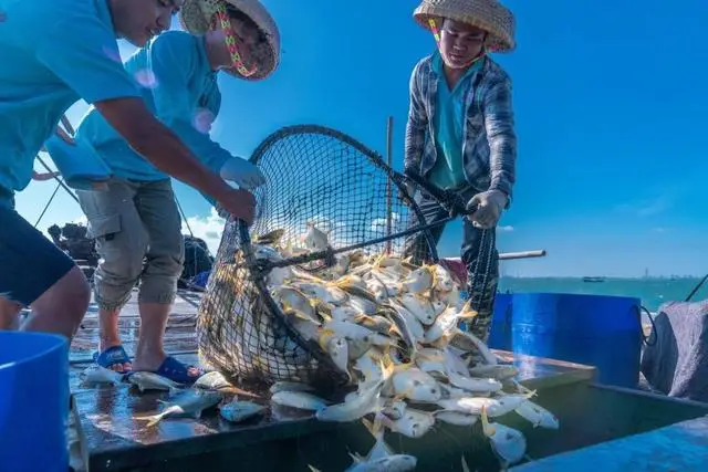_多久可以给婴儿剪指甲_奥运会小人叫什么