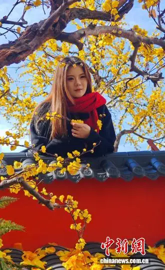 福州景点建筑__福州市古建筑