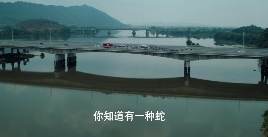 黑马剧什么意思_电视连续剧黑马_