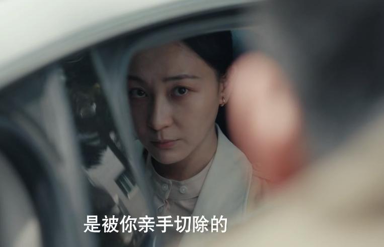 电视连续剧黑马_黑马剧什么意思_