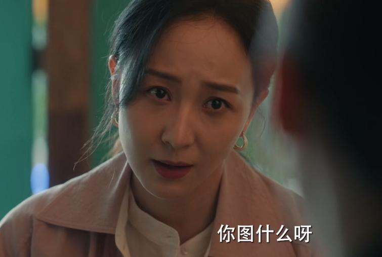 _电视连续剧黑马_黑马剧什么意思