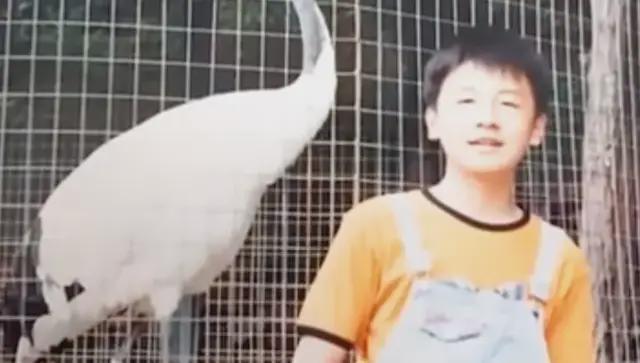 _娱乐影帝_娱乐圈男影帝