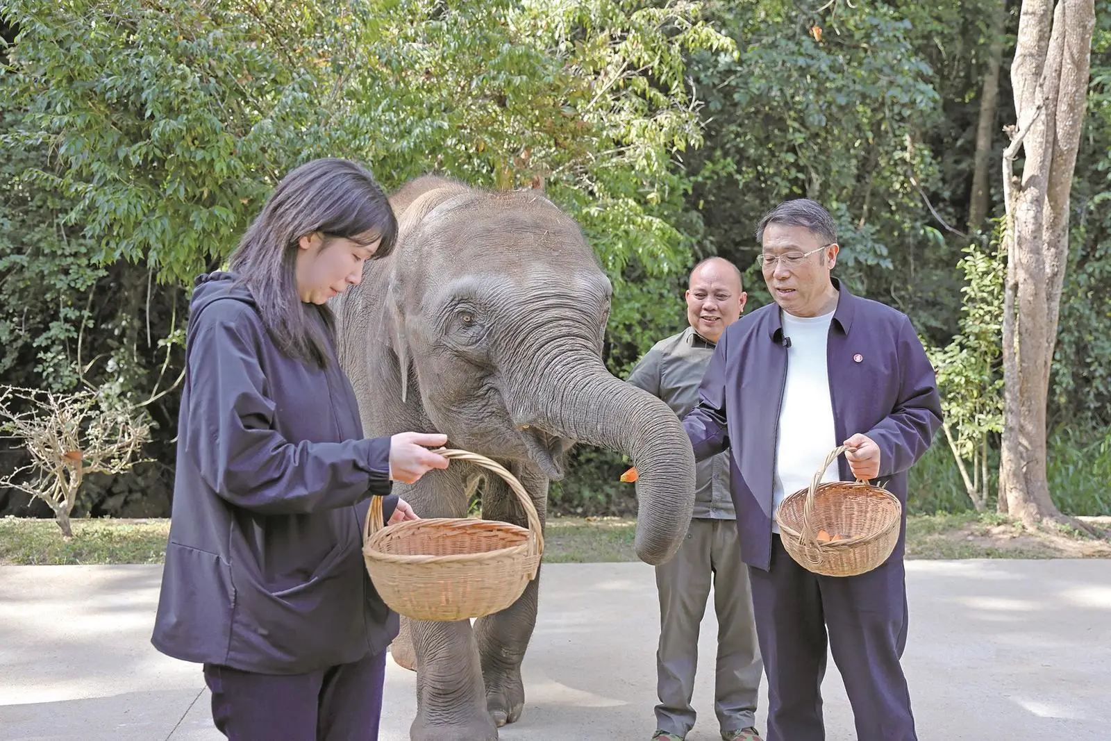 _开发西双版纳政策_西双版纳开发过度