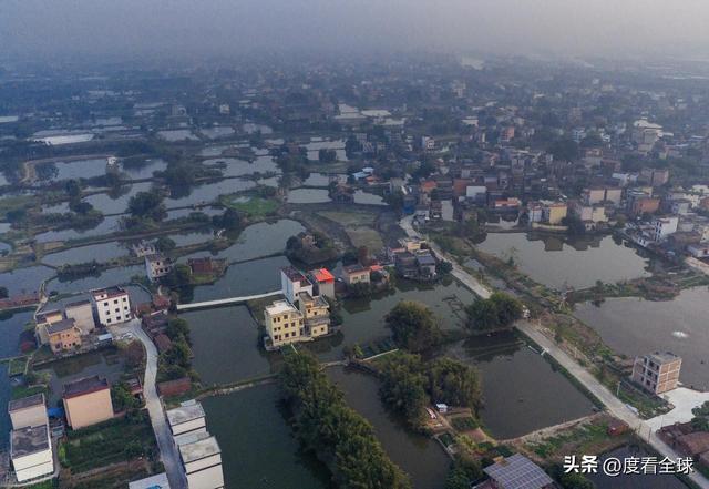 _围墩藏千年，拳影映水乡，被低估的广东水乡，比江南更有烟火气！_围墩藏千年，拳影映水乡，被低估的广东水乡，比江南更有烟火气！