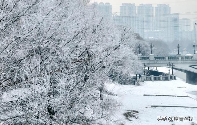 写肉写的极致入微的古言__哈尔滨怎么去雾凇岛
