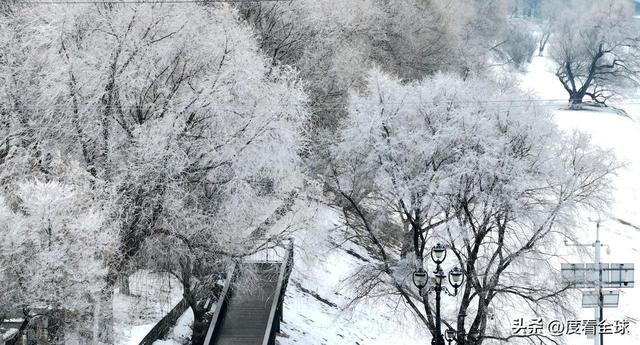 哈尔滨怎么去雾凇岛__写肉写的极致入微的古言