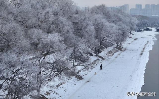 哈尔滨怎么去雾凇岛__写肉写的极致入微的古言