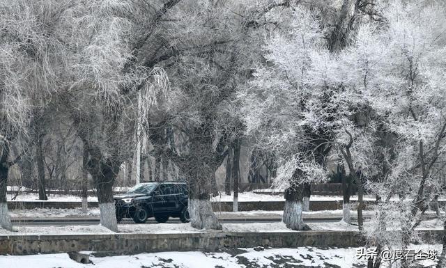 写肉写的极致入微的古言_哈尔滨怎么去雾凇岛_