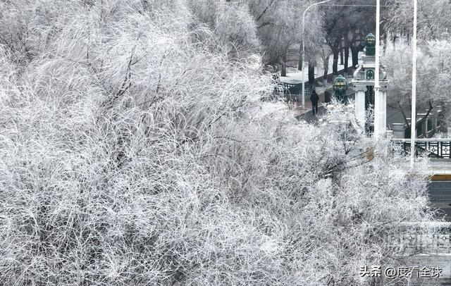 写肉写的极致入微的古言__哈尔滨怎么去雾凇岛