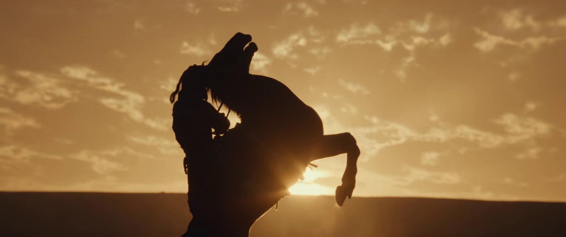 _编剧太平_太平节目