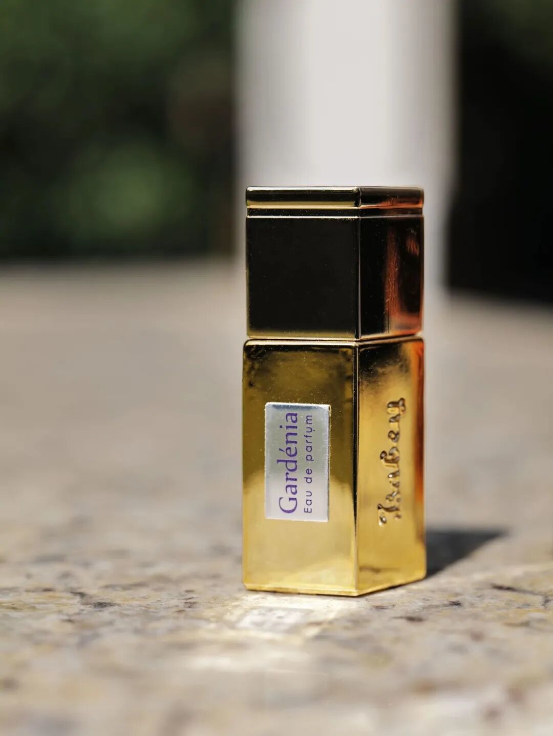 拽酷财阀千金，私底下喜欢的居然是这么幼稚的东西？__拽酷财阀千金，私底下喜欢的居然是这么幼稚的东西？