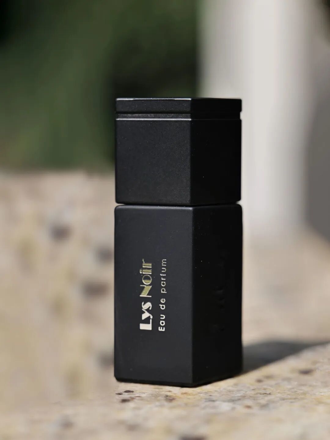 拽酷财阀千金，私底下喜欢的居然是这么幼稚的东西？__拽酷财阀千金，私底下喜欢的居然是这么幼稚的东西？