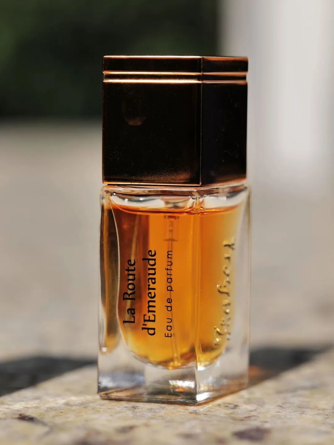 拽酷财阀千金，私底下喜欢的居然是这么幼稚的东西？_拽酷财阀千金，私底下喜欢的居然是这么幼稚的东西？_