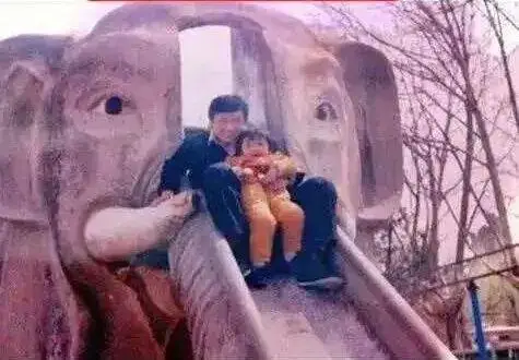 免费开放!郑州人民公园的大象滑梯回来了