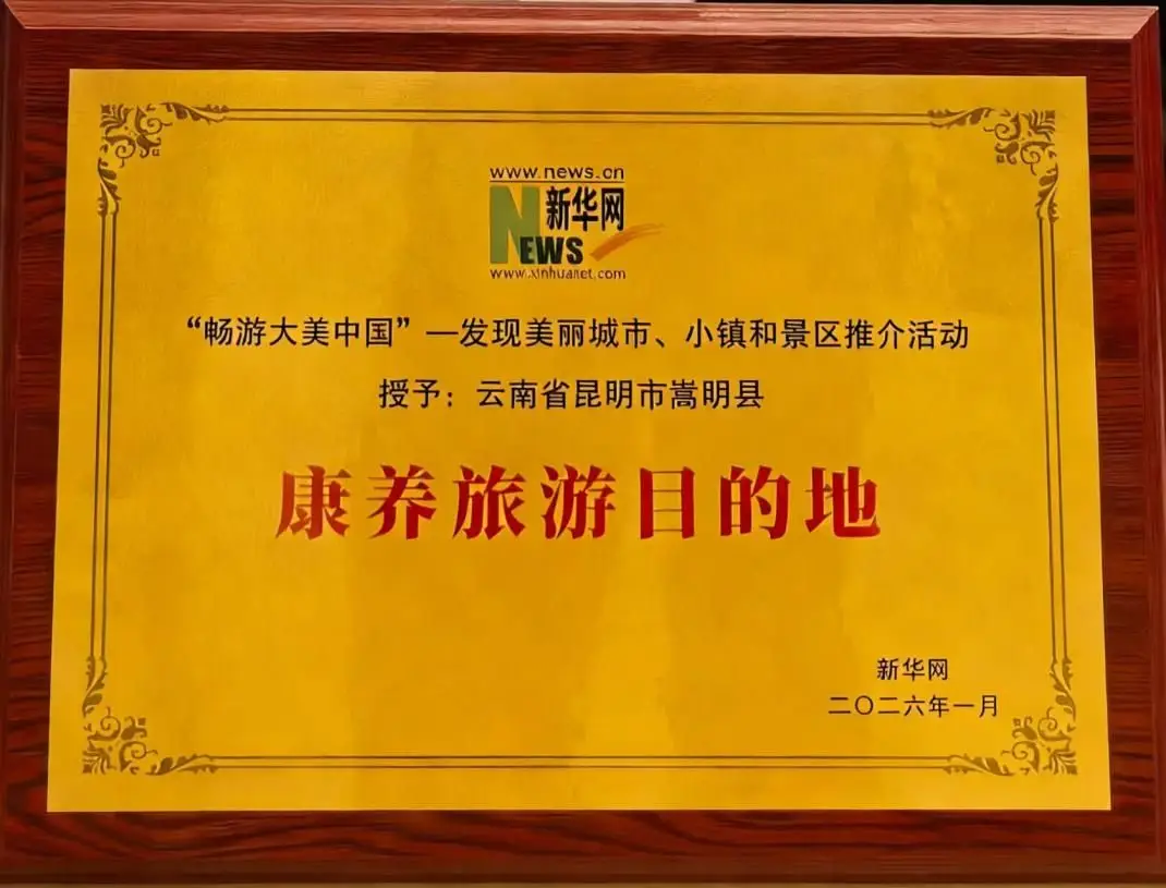 康养旅游目的地!属于每一个向往 “轻嵩生活”的你_康养旅游目的地!属于每一个向往 “轻嵩生活”的你_