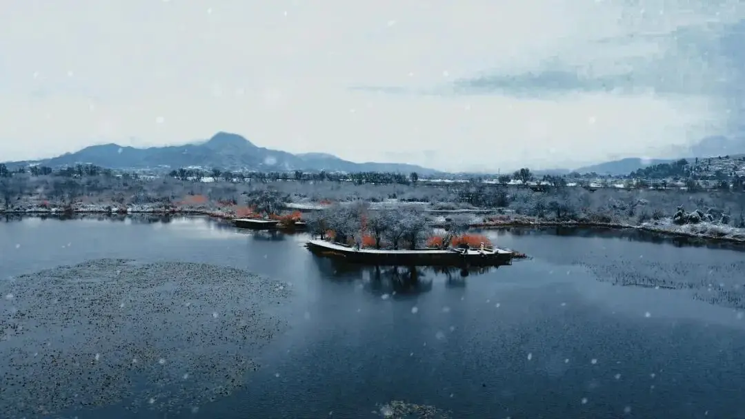 康养旅游目的地!属于每一个向往 “轻嵩生活”的你__康养旅游目的地!属于每一个向往 “轻嵩生活”的你