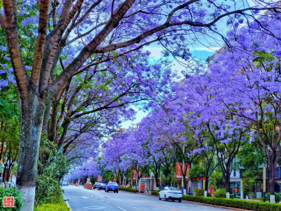 康养旅游目的地!属于每一个向往 “轻嵩生活”的你__康养旅游目的地!属于每一个向往 “轻嵩生活”的你