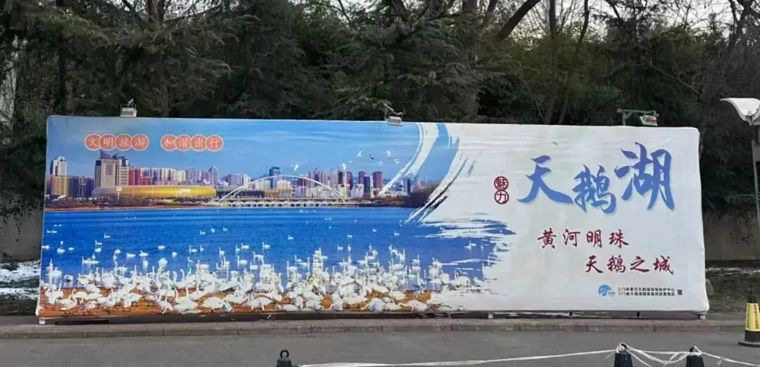 杭州租房补贴社保断缴影响__脚肿了用醋泡脚有用吗